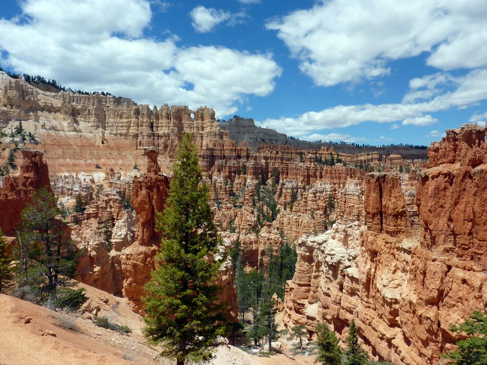bryce canyon (100).JPG